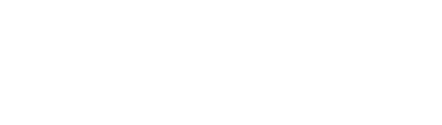 The Daily Bread Project